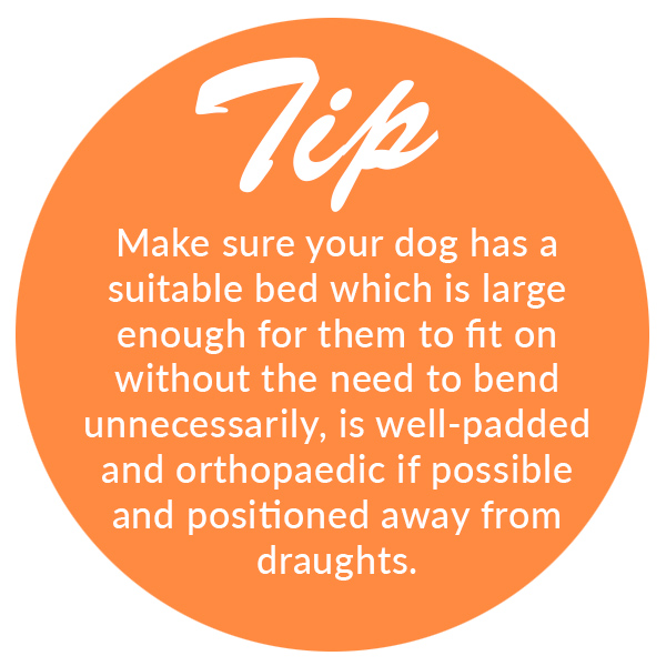 Tip for Caring for Arthritic Pets