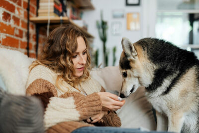 Giving your dog a home made meaty treat