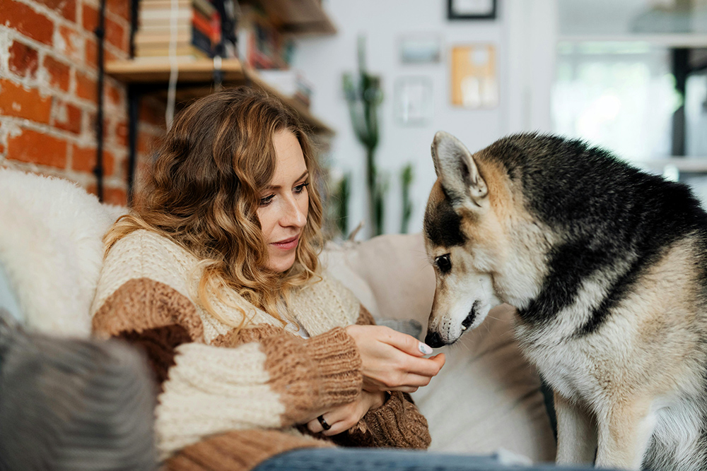 Giving your dog a home made meaty treat
