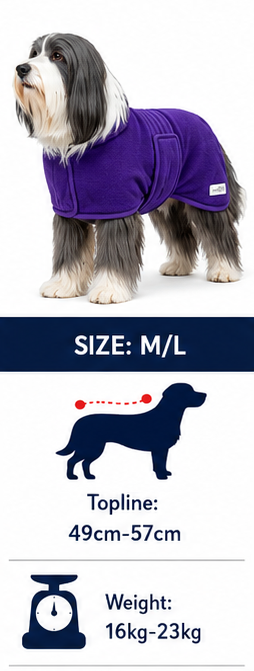 Medium / Large
