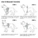 AK-9 Dog Power Harness - Image 4