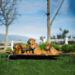 AK-9 High Raised Dog Bed | Breathable Mesh Elevated Dog Bed - Image 10