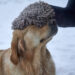 Mutt and Bailey Noodle Drying Glove - Image 2