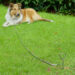 Dog Tie Down Metal Ground Stake - Image 2