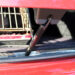 AK-9 Vent Locks - Image 2