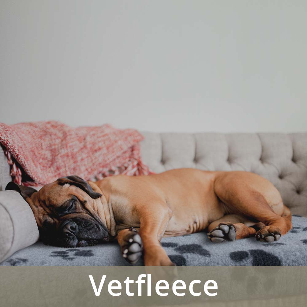 Main Page Explore our Brands Vetfleece